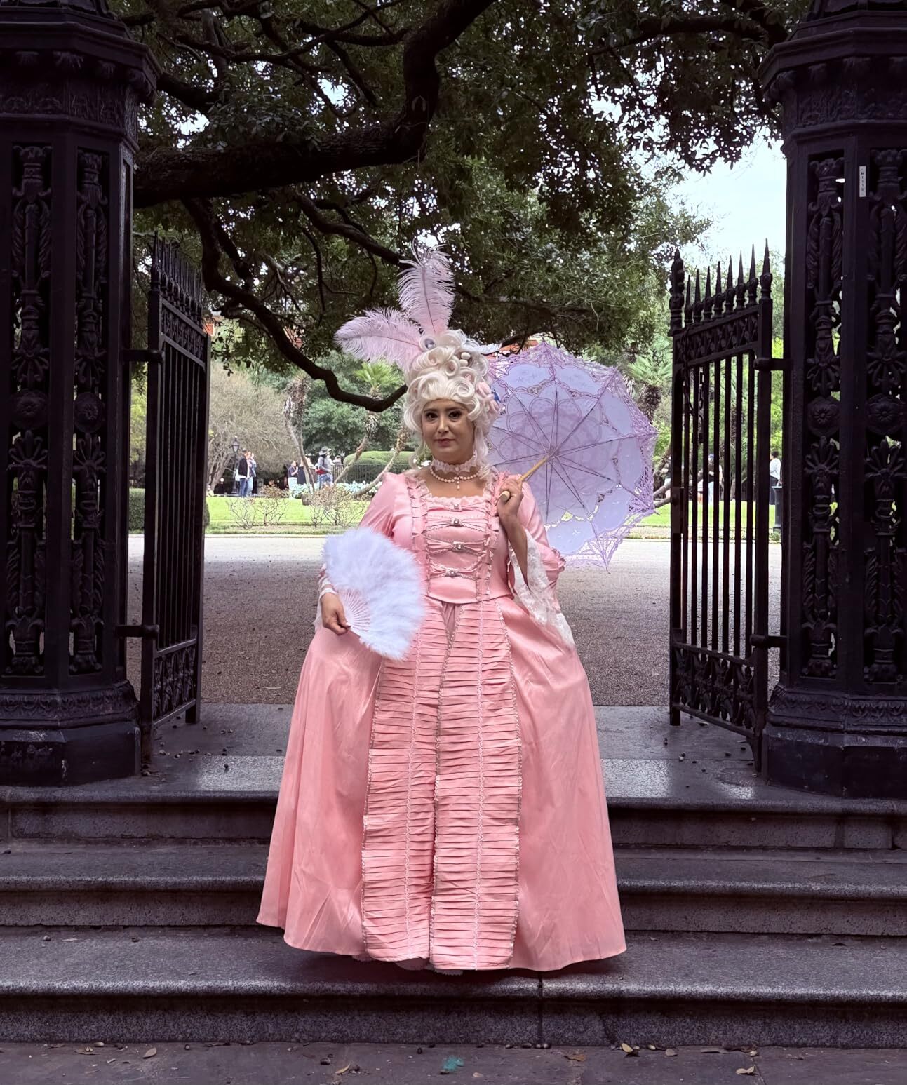 vintage rococo dress